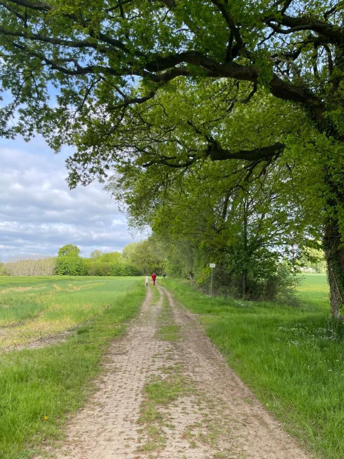 Luxus Lindenhof Apartments -Ferienwohnungen In Friesland An Der Nordsee Am Naturschutzgebiet Urwald Neuenburg  Экстерьер фото